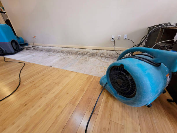 Professional Structural Drying technician working in Culver, OR